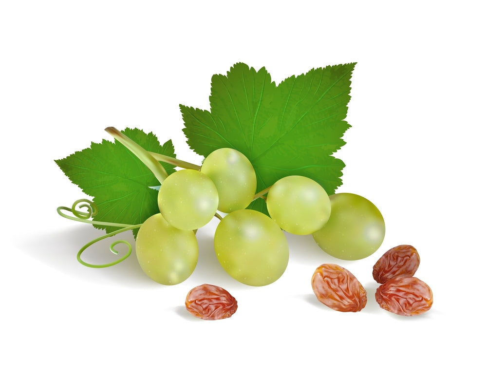 Raisins vs Grapes: What Changes in Drying?