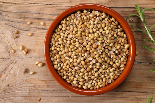 Why Rajasthan’s coriander city produces the world’s finest coriander seeds
