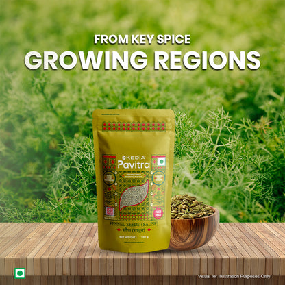 Fennel Seeds (Saunf) (200 g)